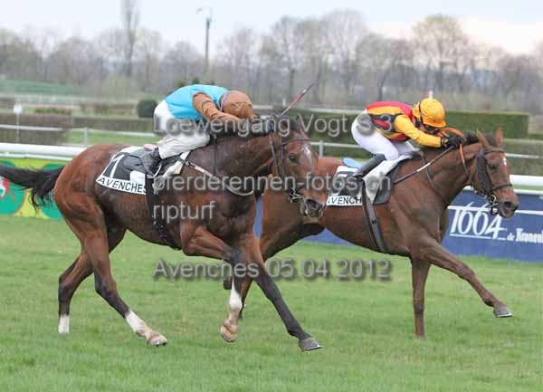 Loewengang Vogt S 3 prot